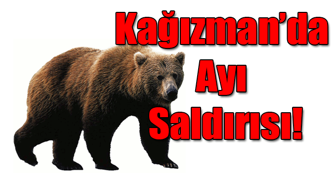 Kağızman’da Ayı Saldırısı!