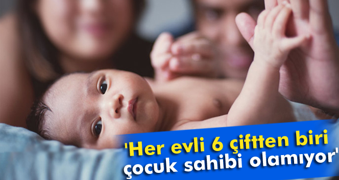 Op. Dr. Seyithanoğlu: Her Evli 6 Çiftten Biri, Çocuk Sahibi Olamıyor