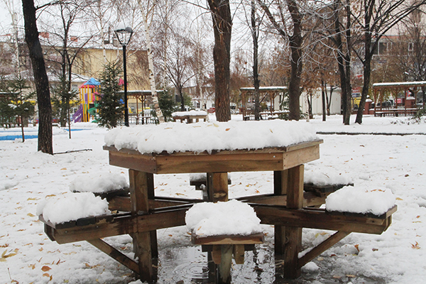 Ardahan'da Yoğun Kar Yağışı!
