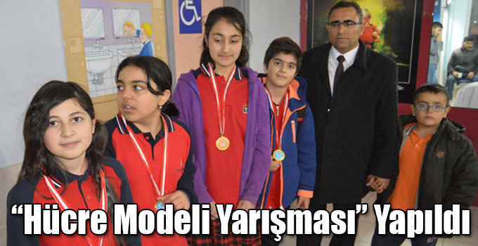 “Hücre Modeli Yarışması” Yapıldı