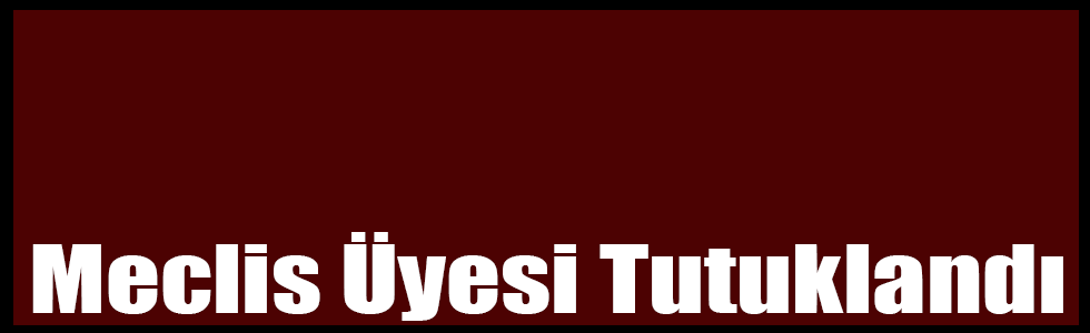 Kars'ta HDP'li İl Genel Meclis Üyesi Tutuklandı