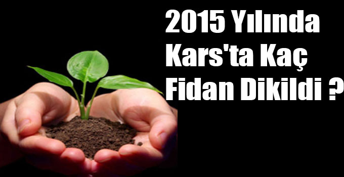 2015 Yılında Kars'ta Kaç Fidan Dikildi ?