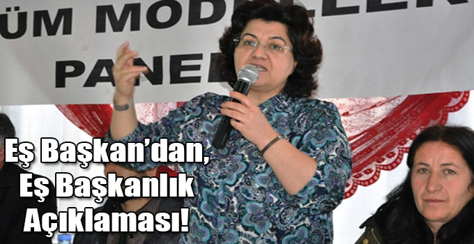 Emine Ayna: Eş Başkanlık Sistemi Vazgeçilmezimizdir