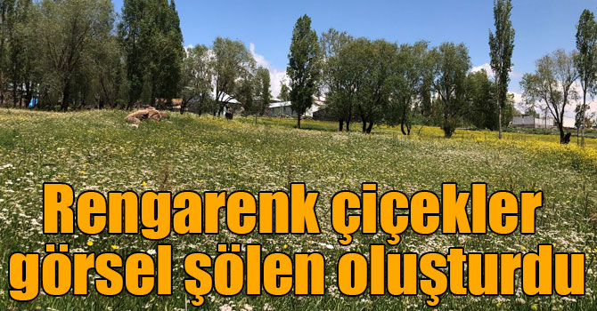 Allahuekber Dağları’nın eteklerinde görsel şölen