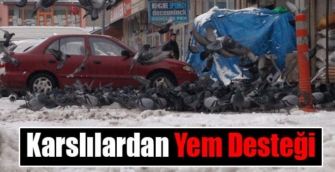 Karslılardan Aç Kuşlara Yem Desteği
