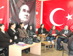 Gül Dünya Yasası