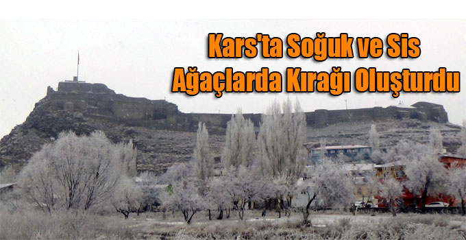 Kars'ta Soğuk ve Sis Ağaçlarda Kırağı Oluşturdu