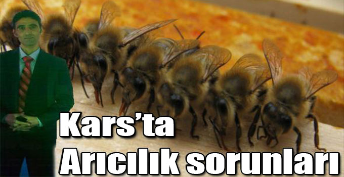 Kars’ta Arıcılık sorunları