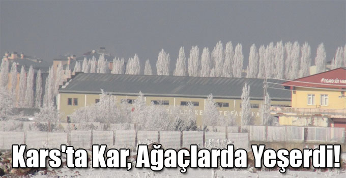 Kars'ta Kar, Ağaçlarda Yeşerdi!
