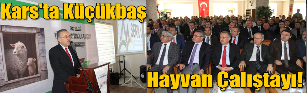 Kars'ta Küçükbaş Hayvan Çalıştayı!