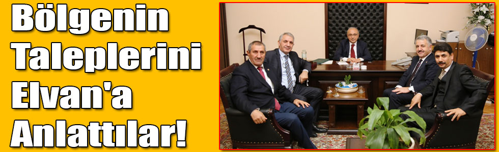 Vekiller, Bölgenin Taleplerini Başbakan Yardımcısı  Elvan'a Anlattılar!