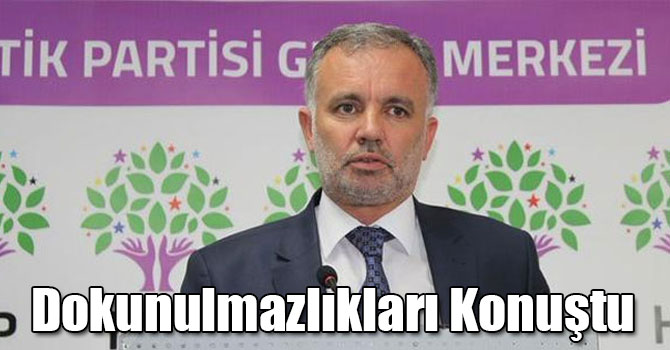 HDP Kars Milletvekili Bilgen, Dokunulmazlıkları Konuştu