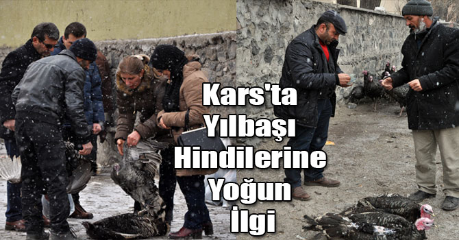 Kars'ta Yılbaşı Hindilerine Yoğun İlgi