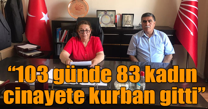 Çelik “103 günde 83 kadın cinayete kurban gitti”