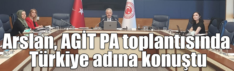 Arslan, AGİT PA toplantısında Türkiye adına konuştu