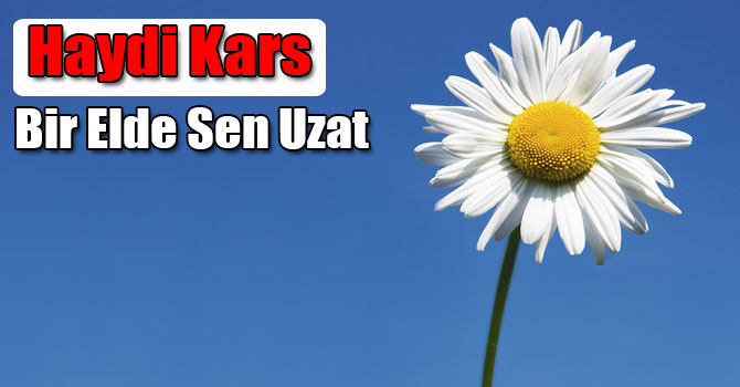 Kars Belediyesi’nden “Bir Elde Sen Uzat” Kampanyası