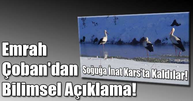 Emrah Çoban'dan Bilimsel Açıklama!