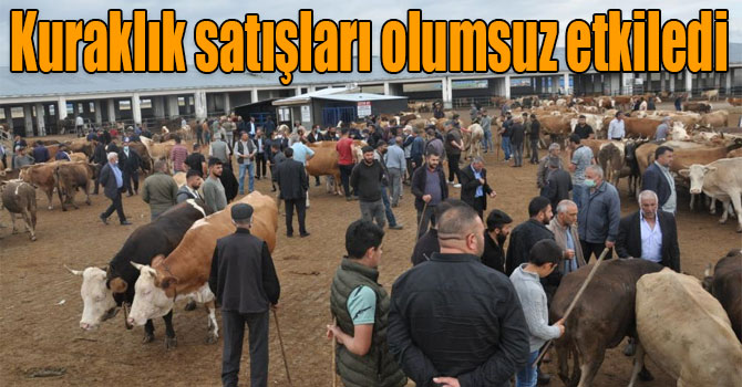 Kars’ta kuraklık kurban satışlarını olumsuz etkiledi