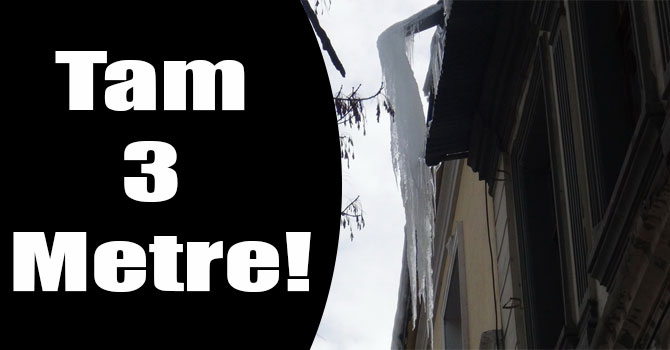 Kars'ta Yerde ve Çatıda Beyaz Tehlikeyle Mücadele!