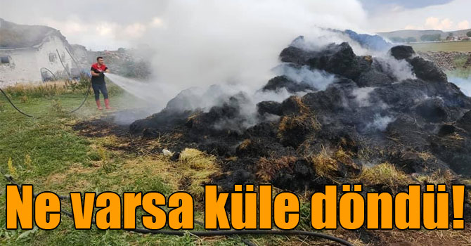 Kars’ta ot yangını