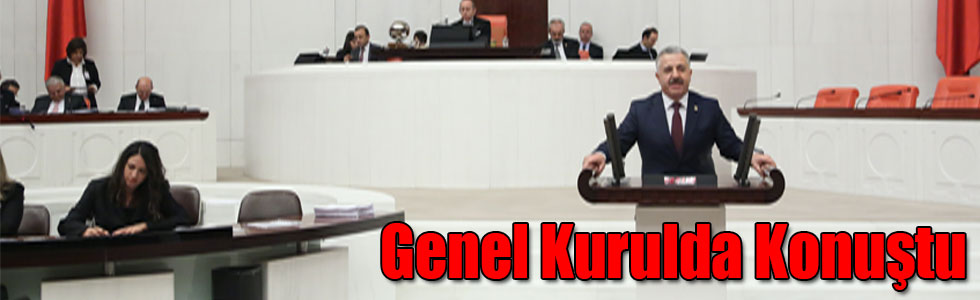 Ahmet Arslan, Genel Kurulda Konuştu