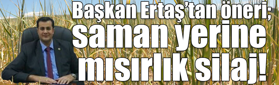 Başkan Ertaş’tan öneri; saman yerine mısırlık silaj!