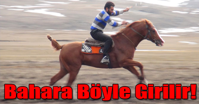 Bahara Cirit İle Girdiler!