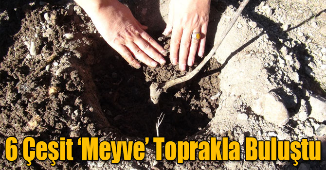 Kars Şeker Fabrikası Ağaç Dikim Kampanyası Yaptı