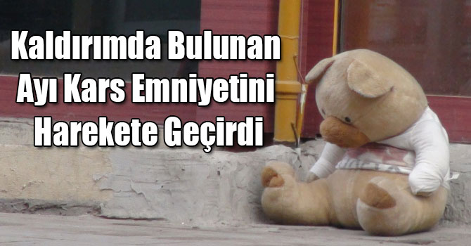 Kaldırımda Bulunan Ayı Kars Emniyetini Harekete Geçirdi