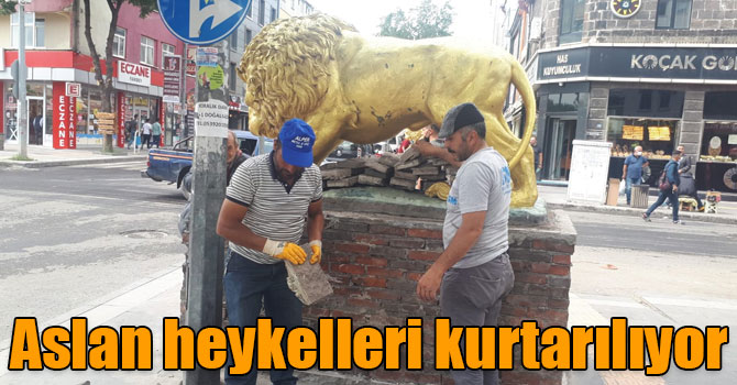 Aslan heykelleri kurtarılıyor