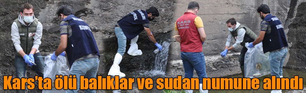 Kars’ta ölü balıklar ve sudan numune alındı