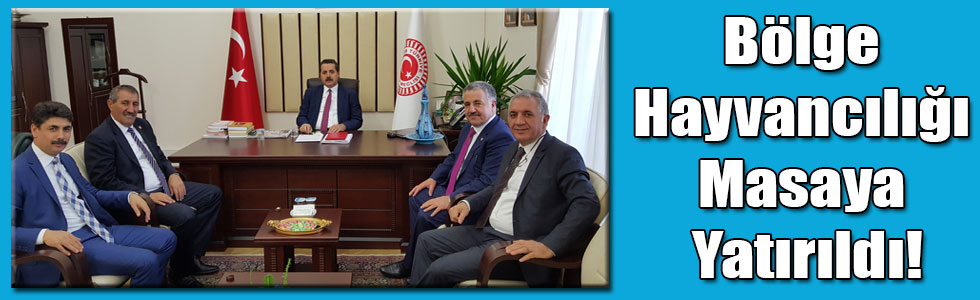 Bölge Hayvancılığı Masaya Yatırıldı!