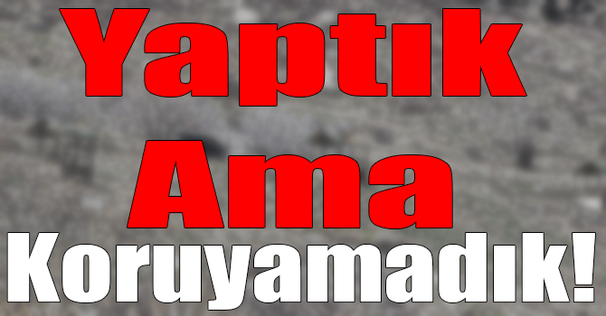 Telsiz Vadisi Kars Kent Ormanı Piknik Alanı Talan Ediliyor