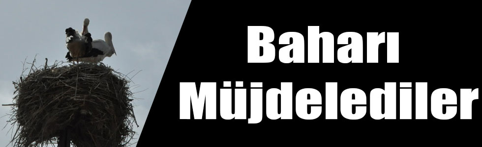 Kars'a Leylekler Gelmeye Başladı