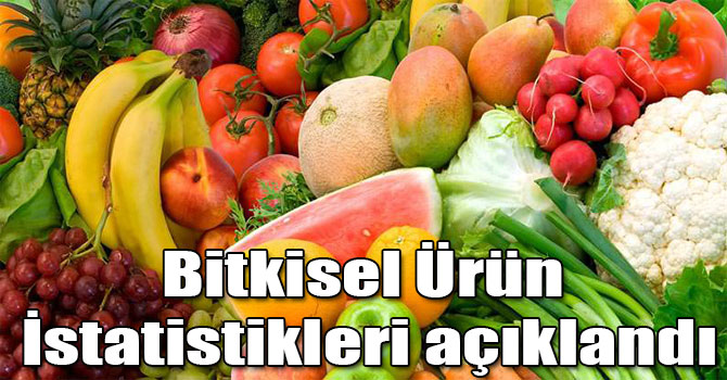 Bitkisel Ürün İstatistikleri Açıklandı