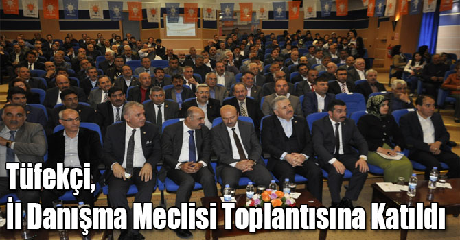 Tüfekçi, İl Danışma Meclisi Toplantısına Katıldı