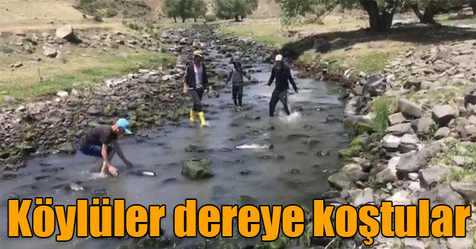 Kars’ta balık tutmak için dereye koştular