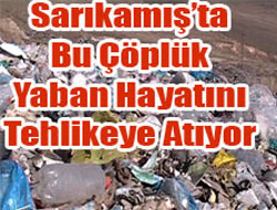 Bu Çöplük Tehlike Saçıyor