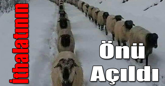 Küçükbaş İthalatının Önü Açıldı