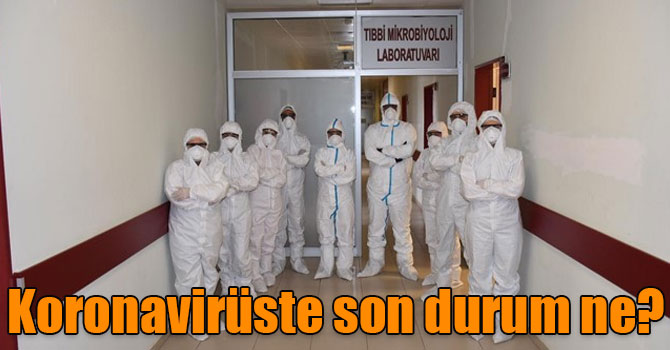 Koronavirüste son durum ne?