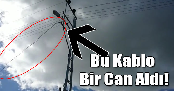 Bu Kablo Bir Can Aldı!