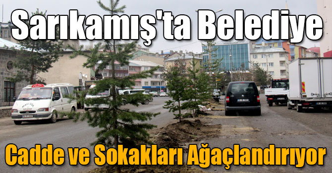 Sarıkamış'ta Belediye Cadde ve Sokakları Ağaçlandırıyor