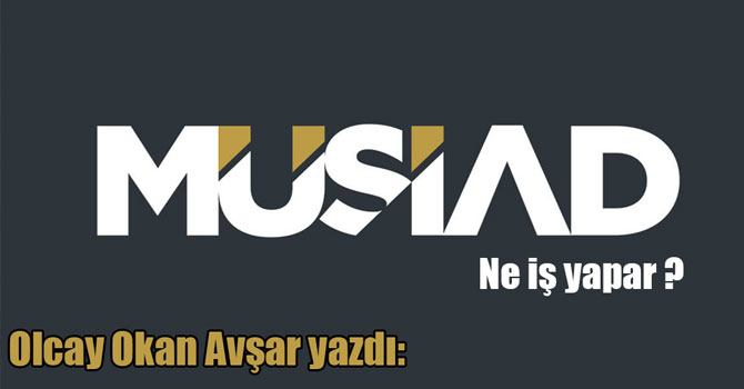 Olcay Okan Avşar yazdı: MÜSİAD ne iş yapar ?