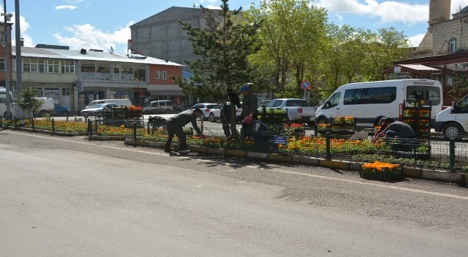 Ardahan'da Yaz Sezonu Çiçek Çalışmaları Başladı