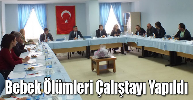 Bebek Ölümleri Çalıştayı Yapıldı