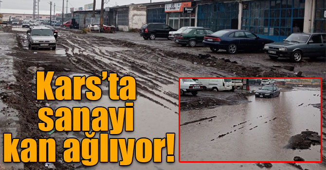 Kars’ta sanayi kan ağlıyor!