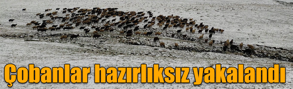 Kars’a mevsimin ilk karı yağdı, çobanlar hazırlıksız yakalandı