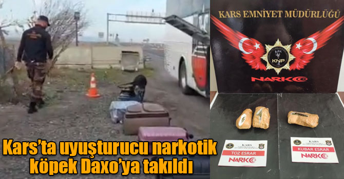 Kars’ta uyuşturucu narkotik köpek Daxo’ya takıldı