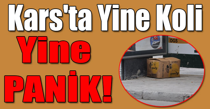 Kars'ta Yine Koli Yine PANİK!