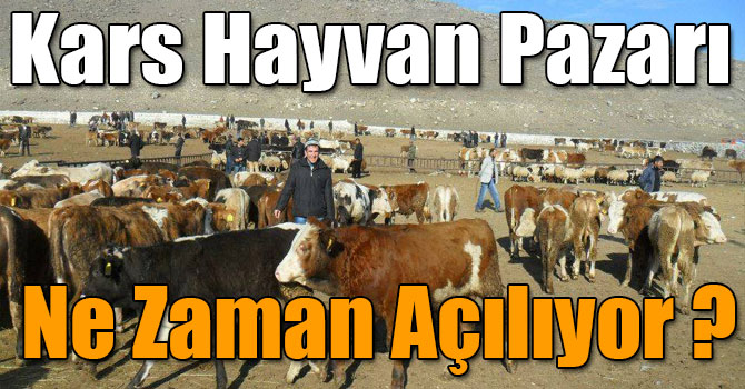 Hayvan Pazarı Ne Zaman Açılıyor ?